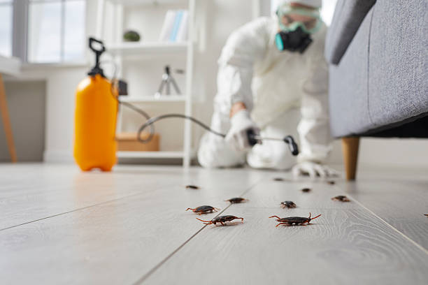 Post-Treatment Bed Bug Interceptor Monitoring in Fayetteville