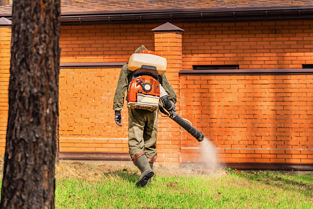 Bed Bug Clearance Verification and Documentation in Fayetteville